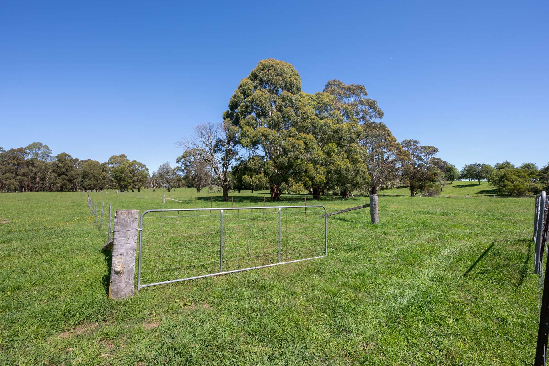 438 Sawyers Ridge Road, Braidwood For Sale by Farmbuy.com - image 21
