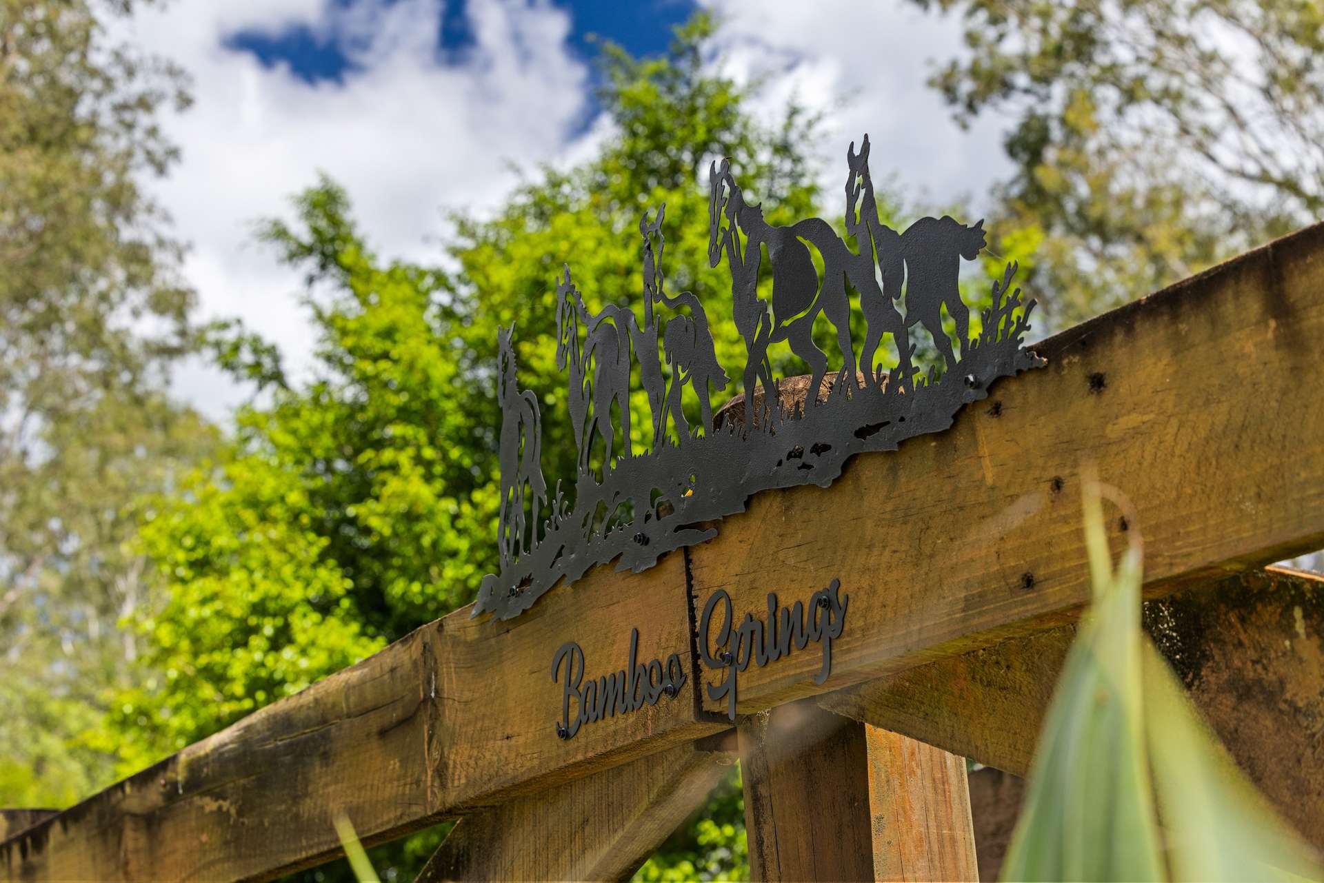 592 Cedar Creek Road, Gheerulla For Sale by Farmbuy.com - image 31