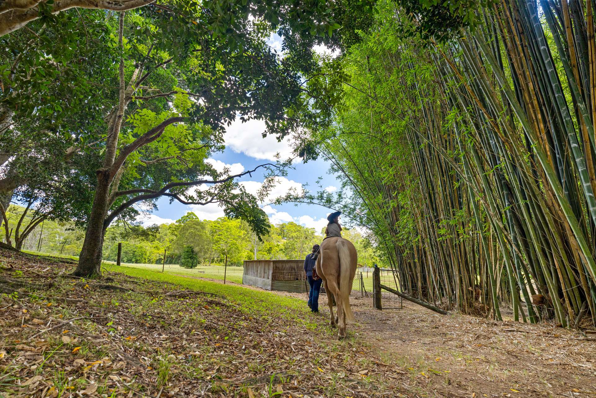 592 Cedar Creek Road, Gheerulla For Sale by Farmbuy.com - image 23
