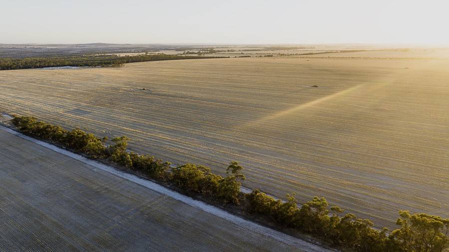 Lot 2 Fotheringhame Road, Jilakin For Sale by Farmbuy.com - image 7