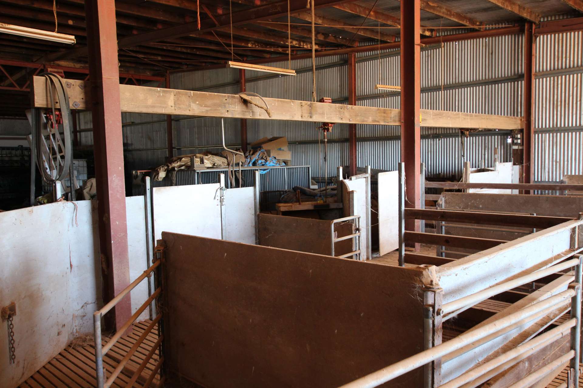 _ Millar Road, Mitiamo For Sale by Farmbuy.com - image 21