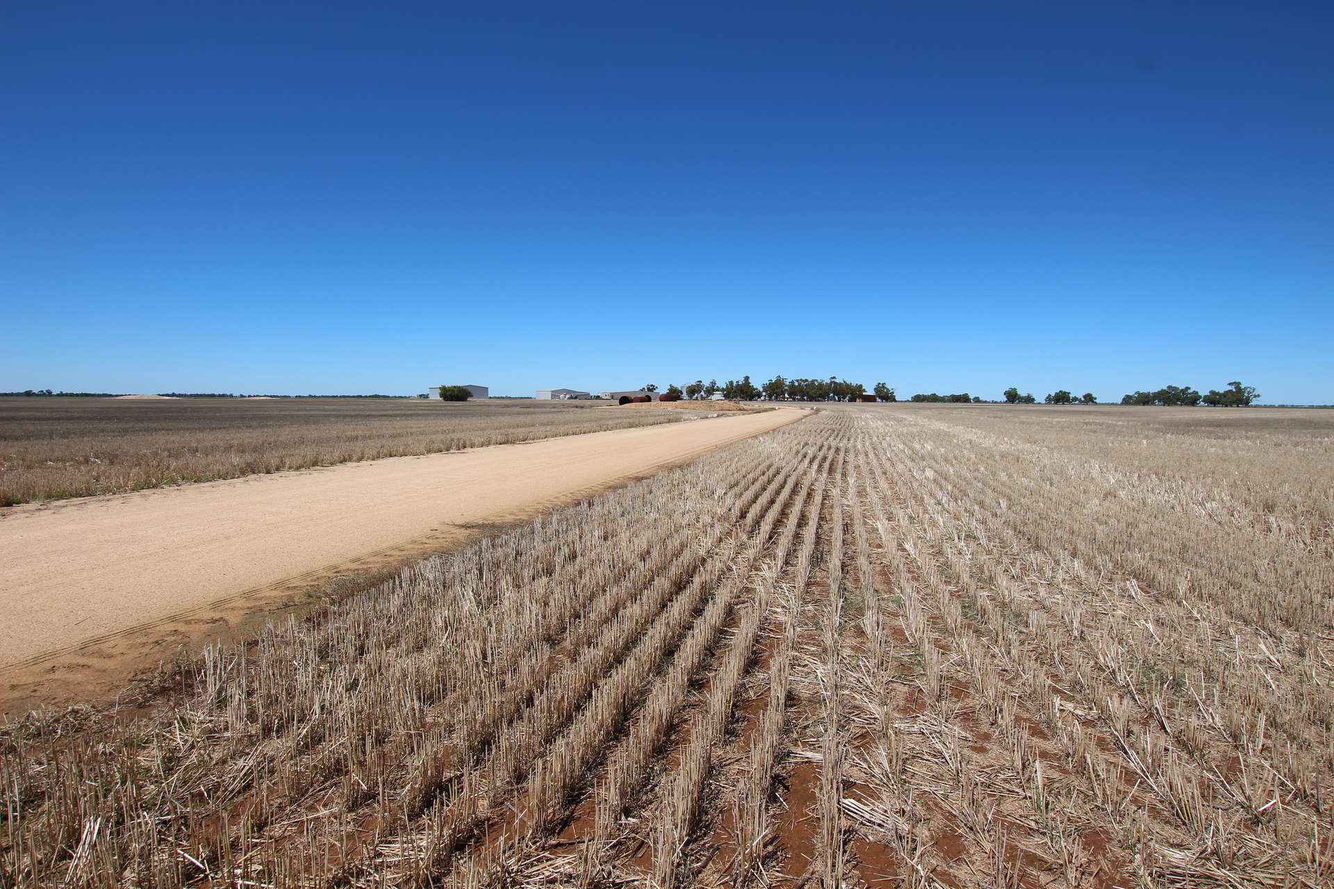 _ Millar Road, Mitiamo For Sale by Farmbuy.com - image 3