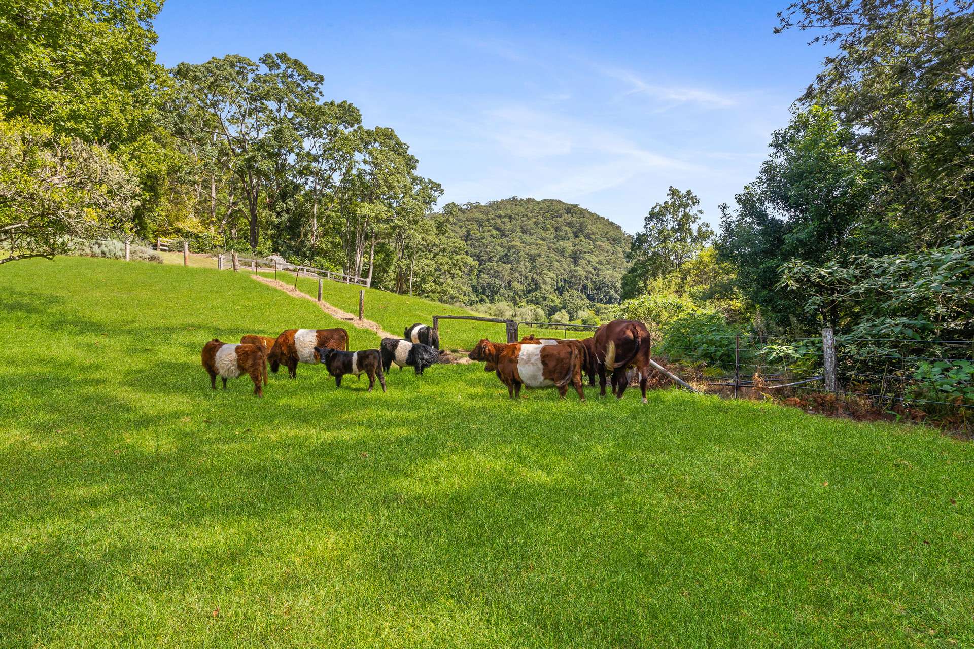 665 Brush Creek Road, Cedar Brush Creek For Sale by Farmbuy.com - image 19