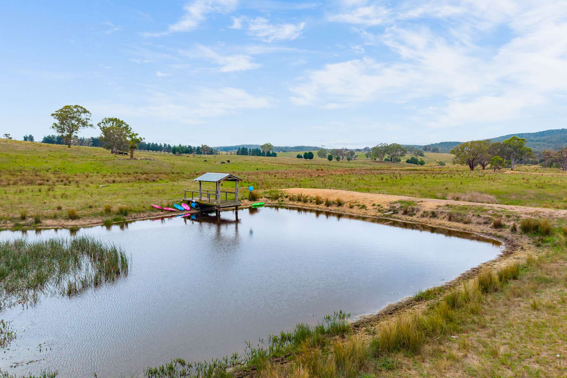 48 Robinson Road, Boxers Creek Via, Goulburn Auction by Farmbuy.com - image 25