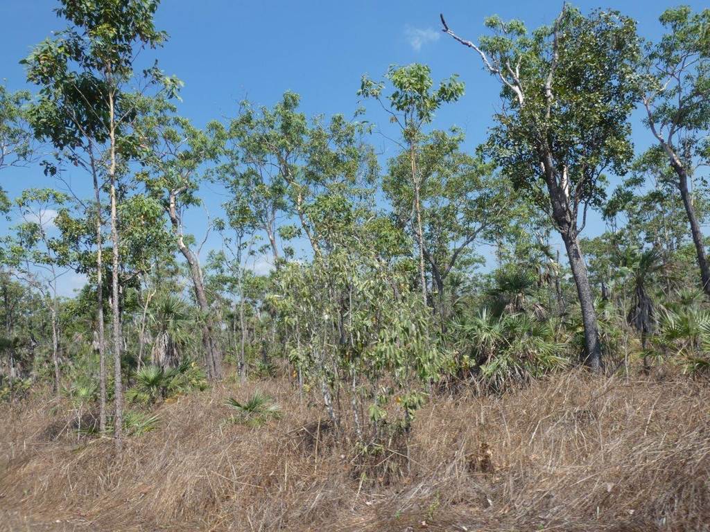 7 Tuey Close, Blackmore NT 0822