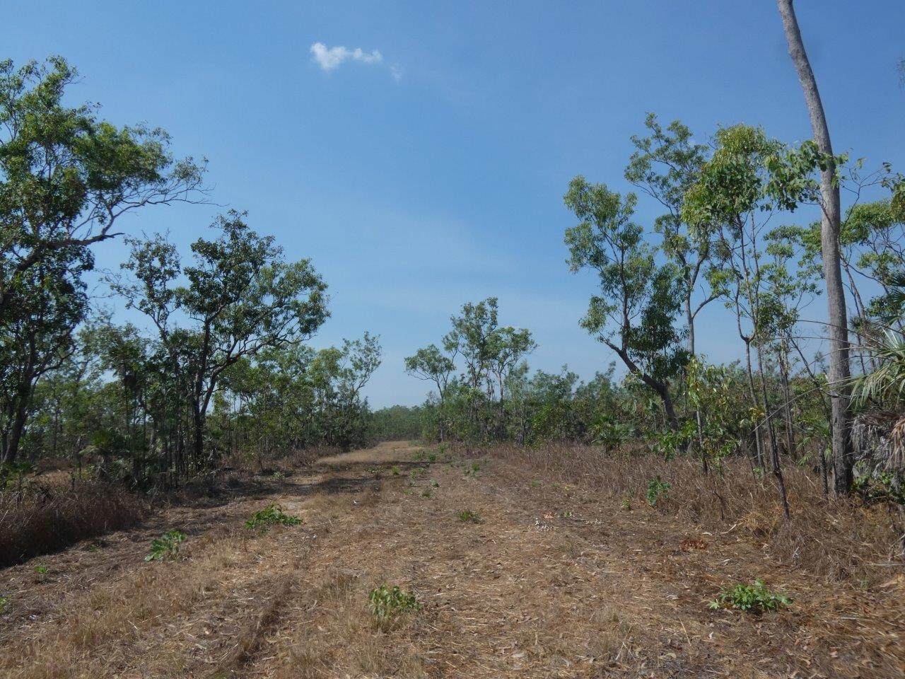 140 Mielang Road, Blackmore Sold by Farmbuy.com - image 12