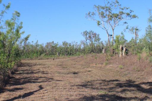Farm Sold - NT - Blackmore - 0822 - 11 Acres 