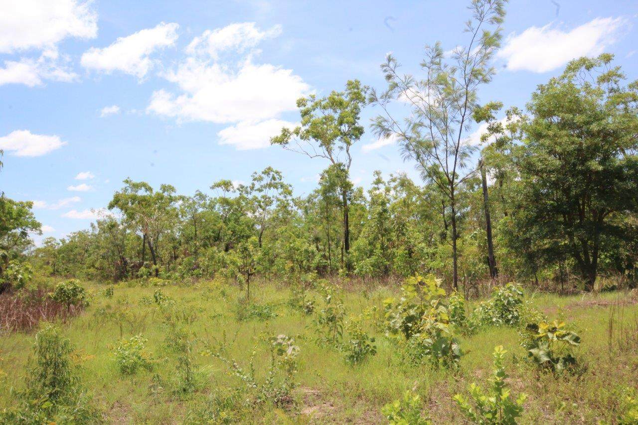 46 Mielang Road, Blackmore Sold by Farmbuy.com - image 1