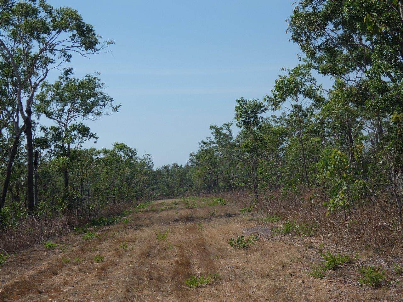 Lot 2810, 116 Mielang Road, Blackmore Sold by Farmbuy.com - image 7