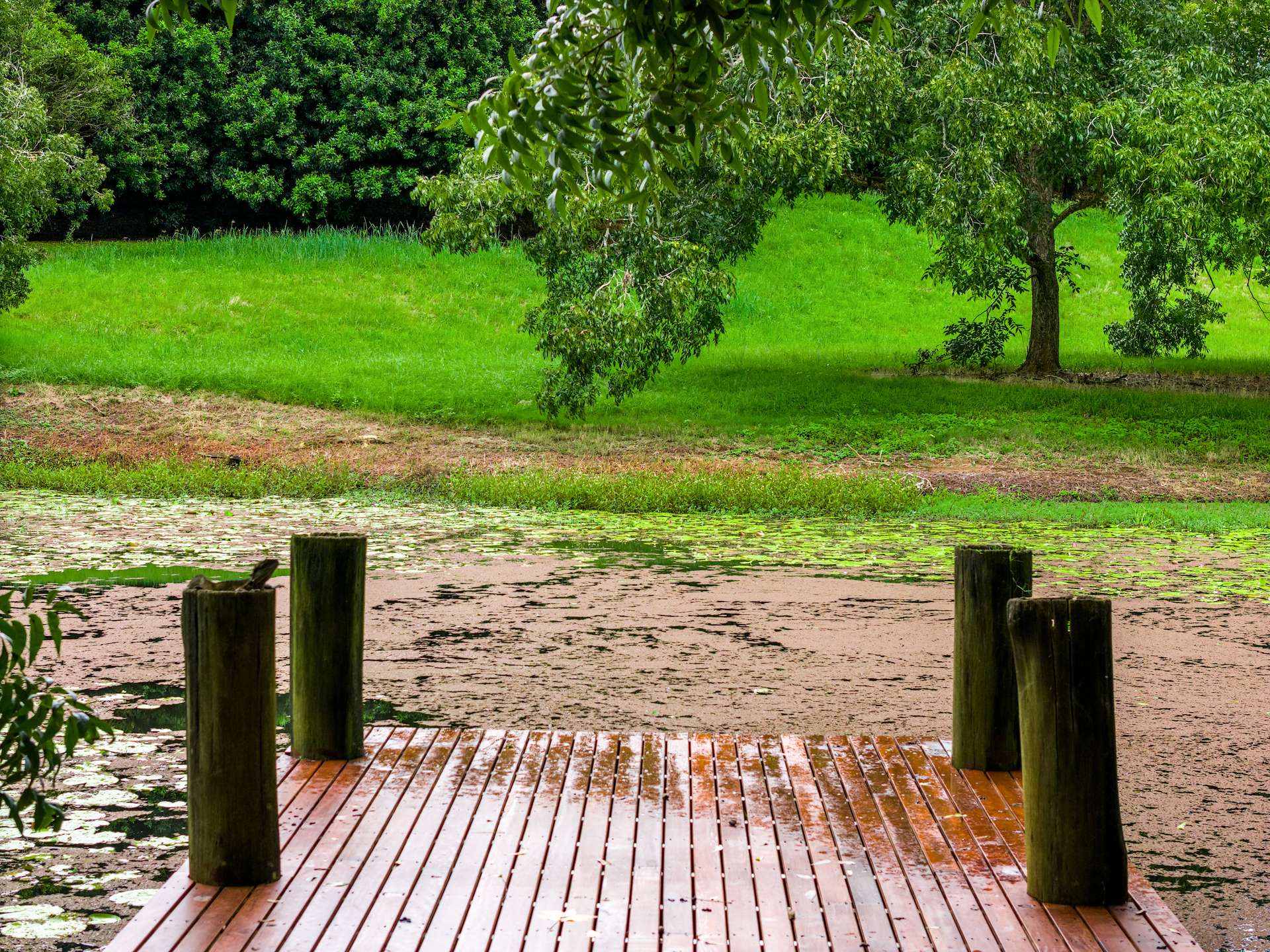 323 Eureka Road, Eureka For Sale by Farmbuy.com - image 20