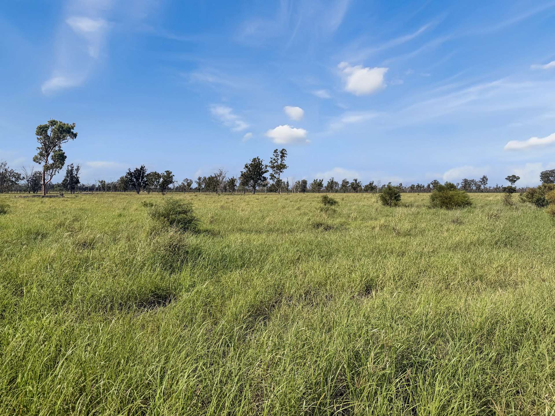 " Four Bar", Dalby For Sale by Farmbuy.com - image 18