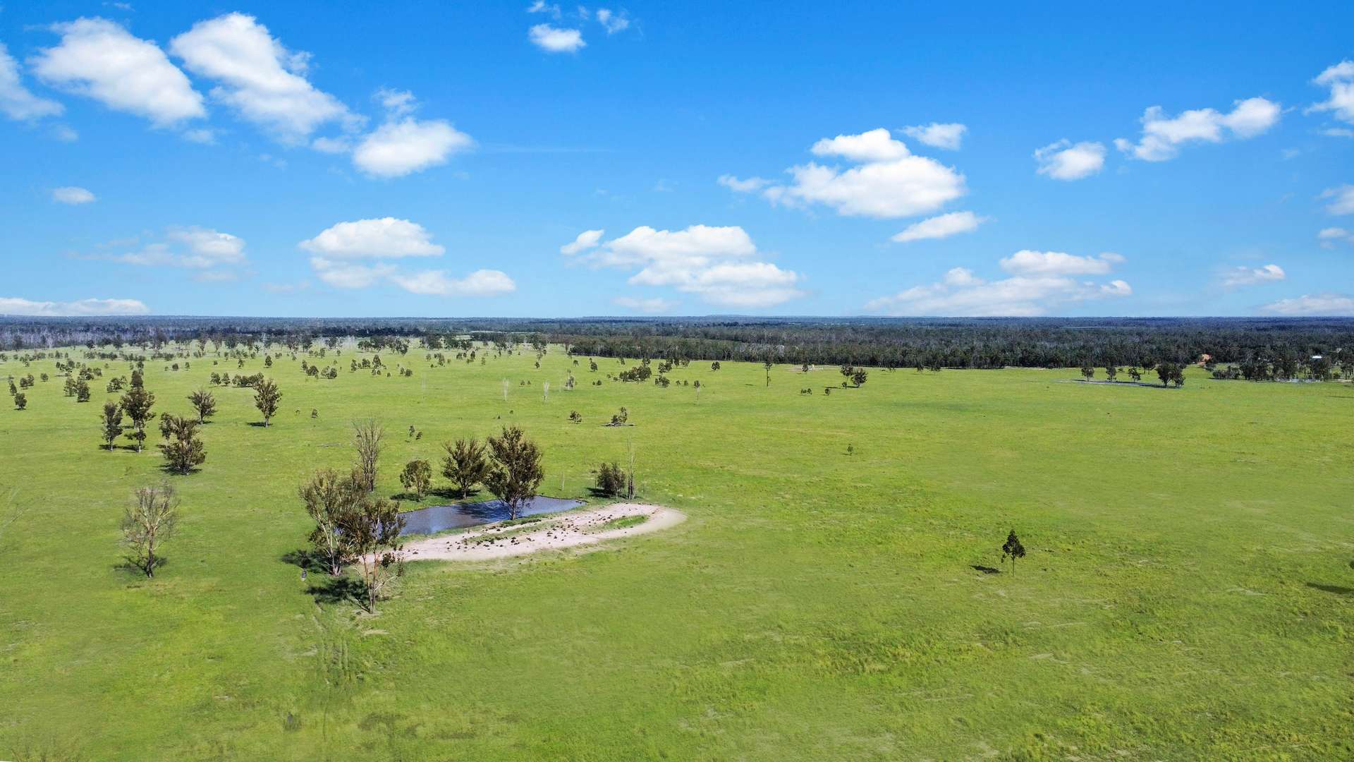 " Four Bar", Dalby For Sale by Farmbuy.com - image 7