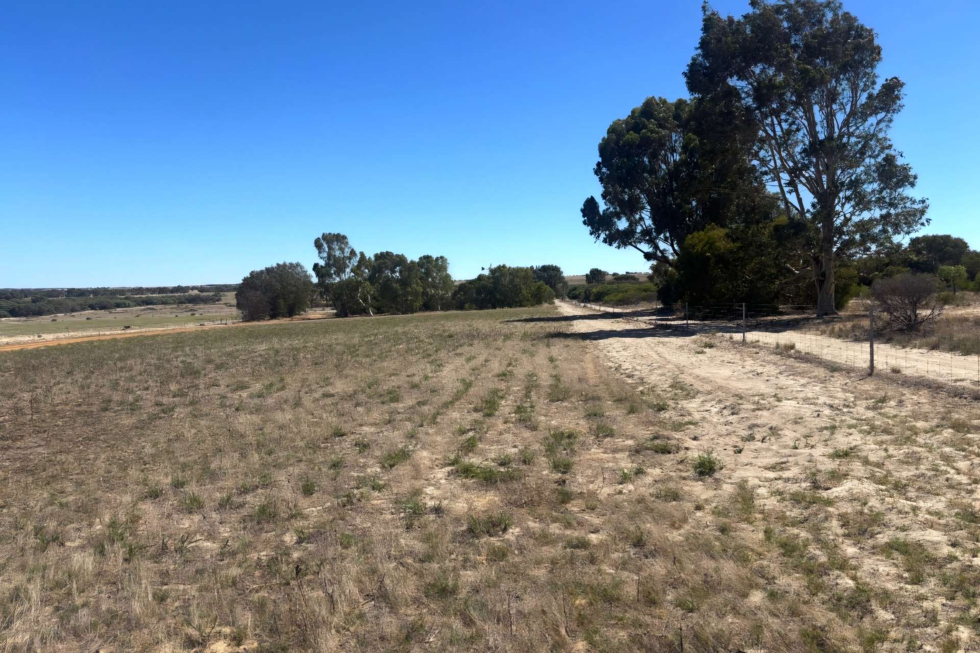 1169 Allanooka Springs Road, Mount Hill For Sale by Farmbuy.com - image 22