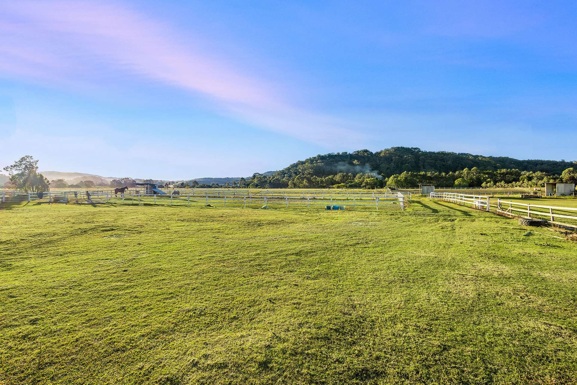 163-187 Petrie Creek Road, Rosemount For Sale by Farmbuy.com - image 9