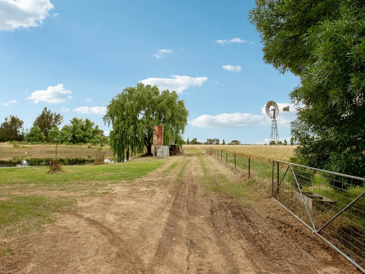 65 Maimuru Rd, Maimuru For Sale by Farmbuy.com - image 25