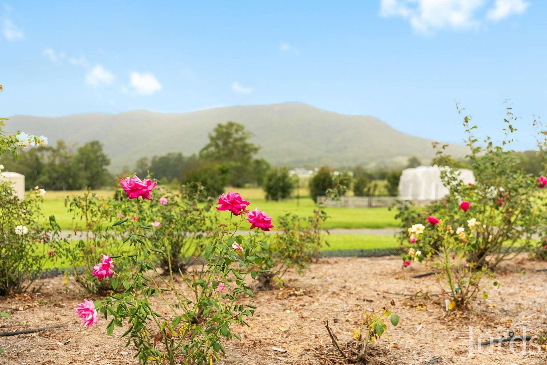 1146 Leggetts Drive, Mount Vincent Sold by Farmbuy.com - image 27