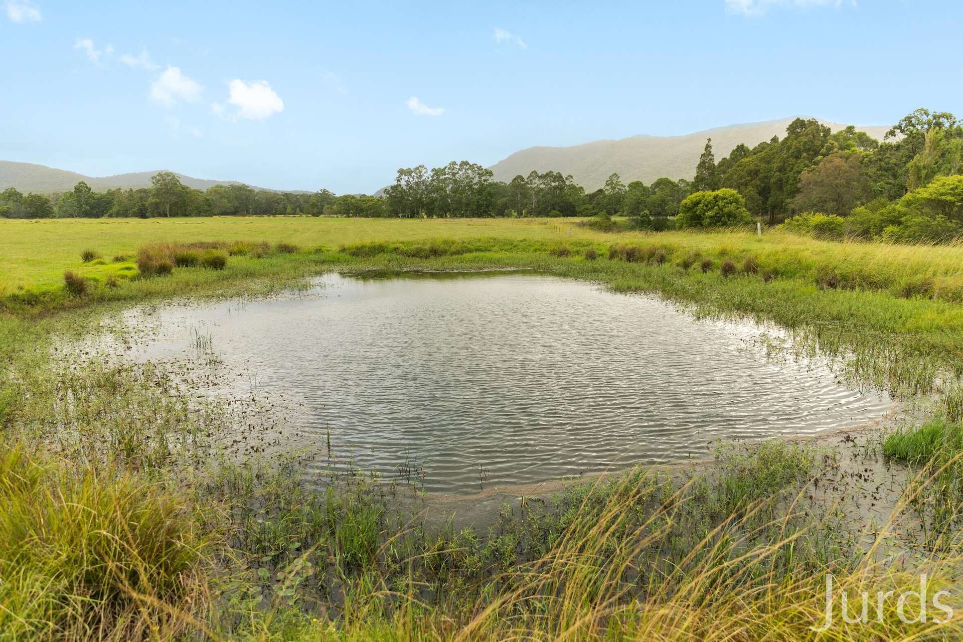 1146 Leggetts Drive, Mount Vincent Sold by Farmbuy.com - image 29