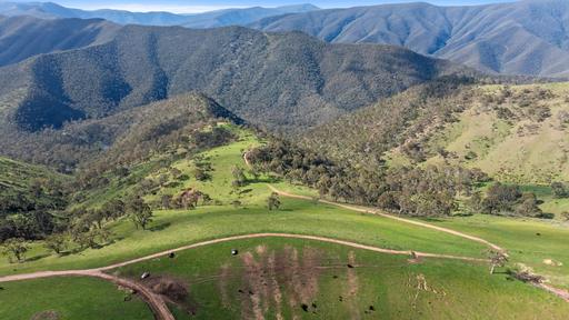 Farm For Sale - VIC - Licola - 3858 - Lot 4 – 914 Target Creek Road, Licola 