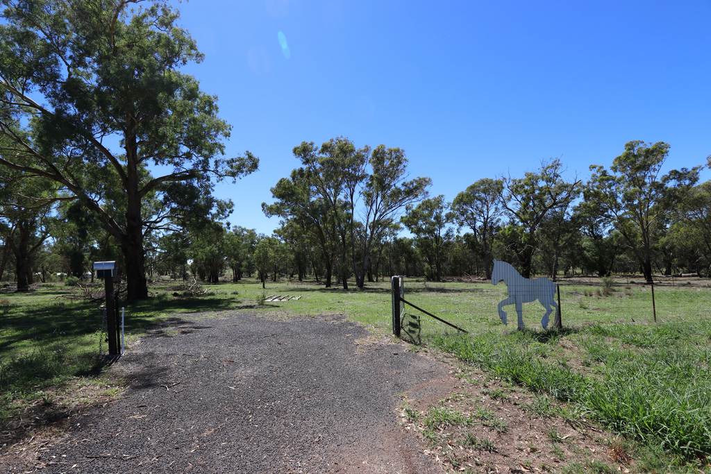 52 BENDICK MURRELL ROAD&comma; Bendick Murrell Via, Young NSW 2594