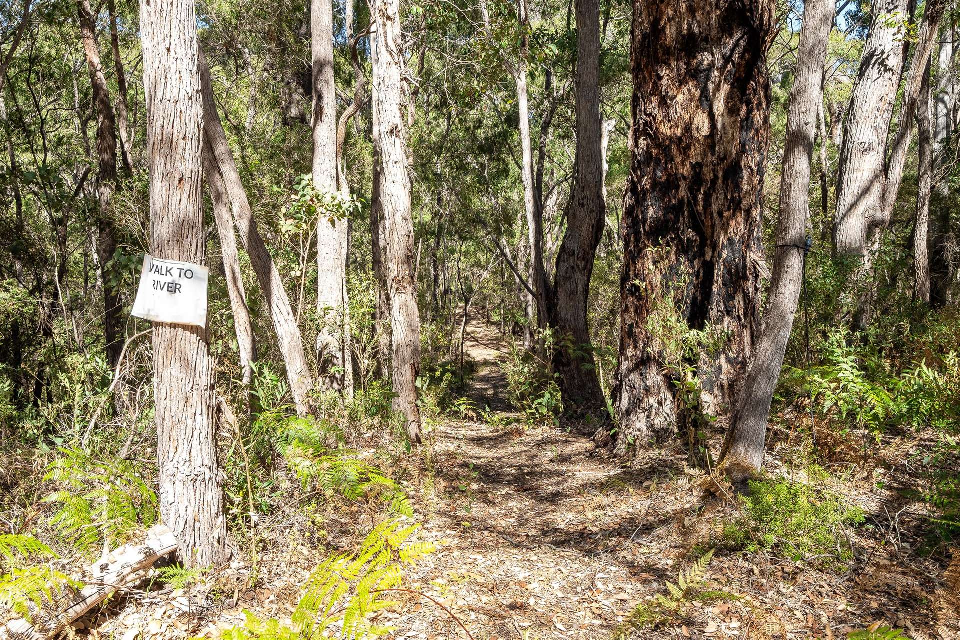 42 Ashton Street, Margaret River For Sale by Farmbuy.com - image 35