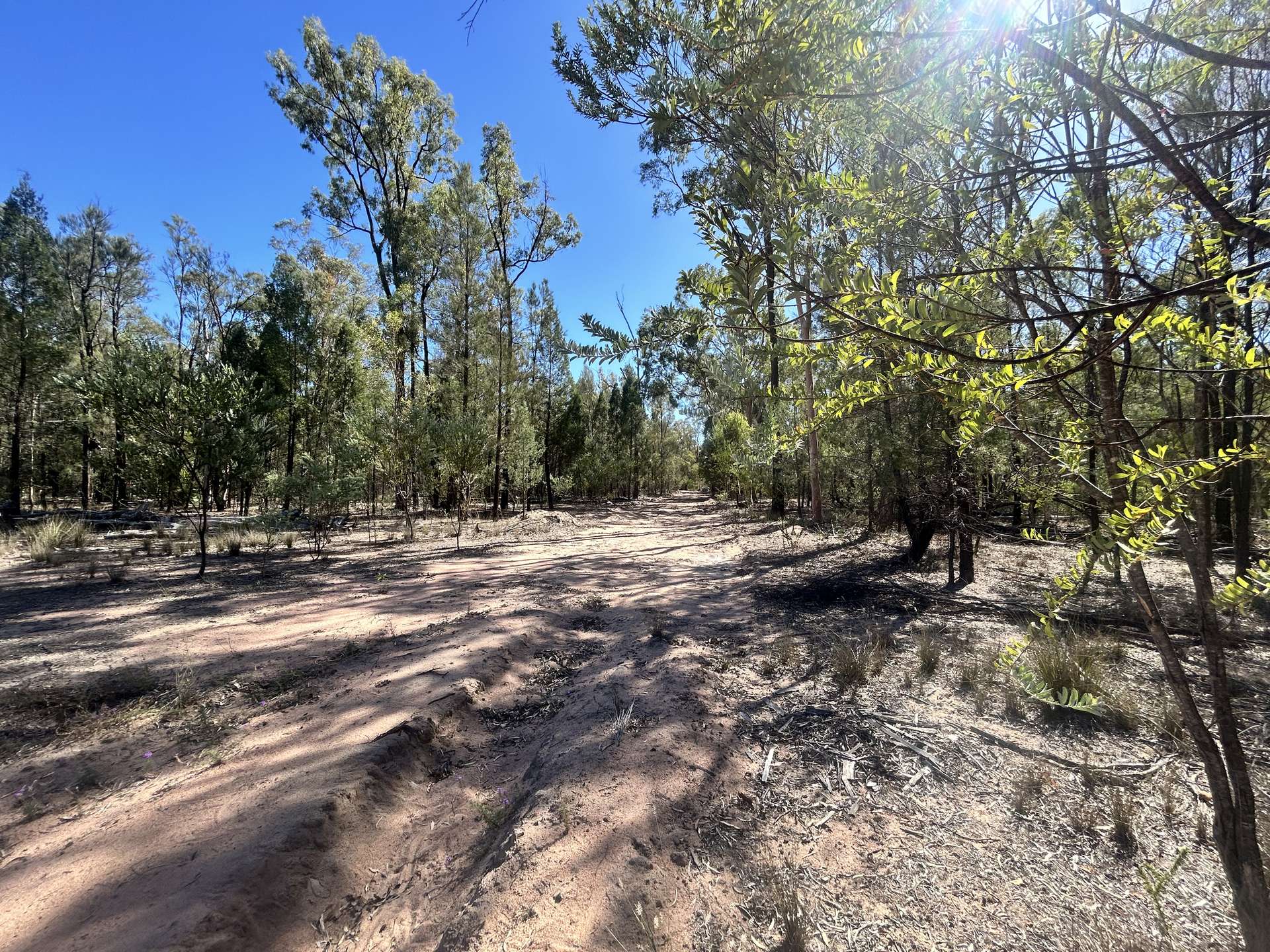 Lot 110,  Biggs Rd, Coolmunda For Sale by Farmbuy.com - image 10