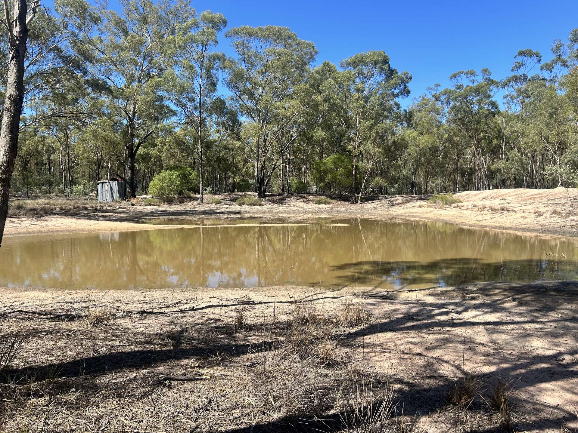 Lot 110,  Biggs Rd, Coolmunda For Sale by Farmbuy.com - image 8