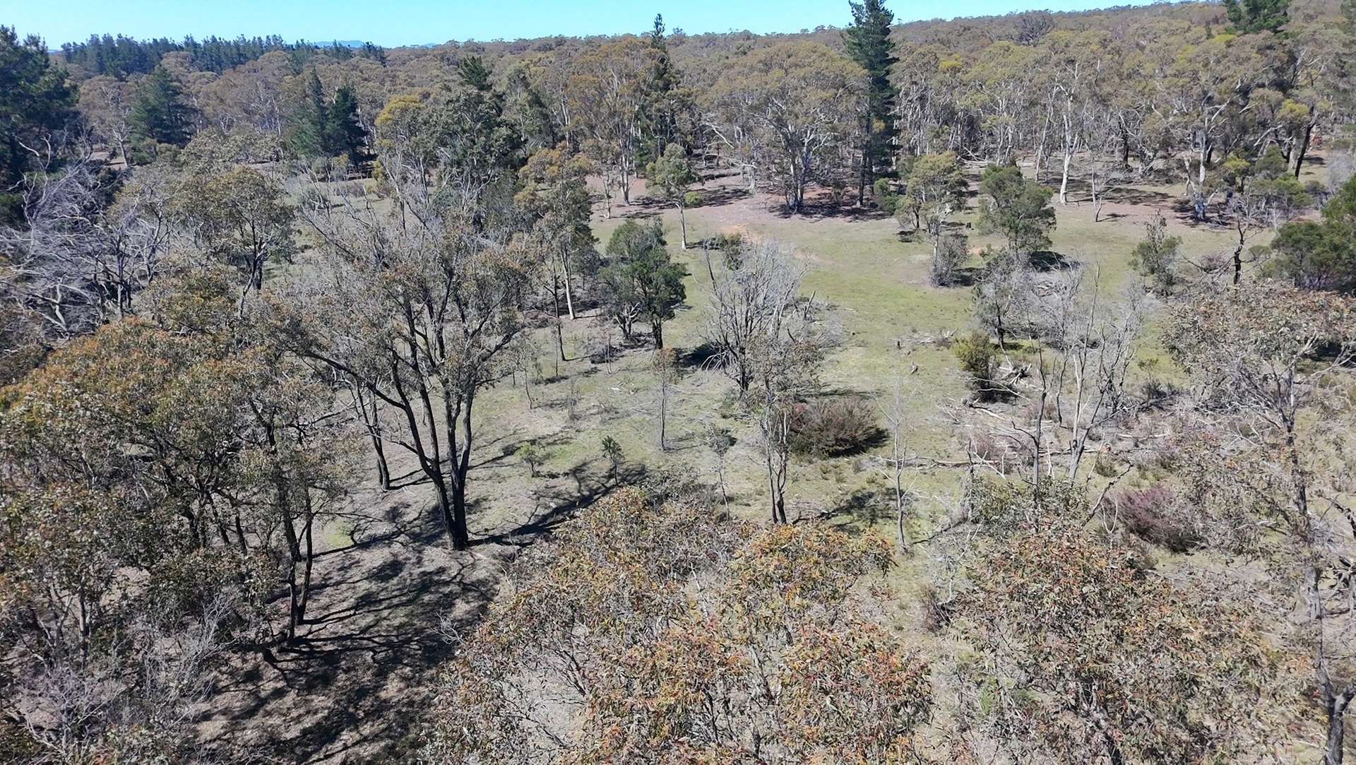 265 Sturgiss Road, Lower Boro Sold by Farmbuy.com - image 13