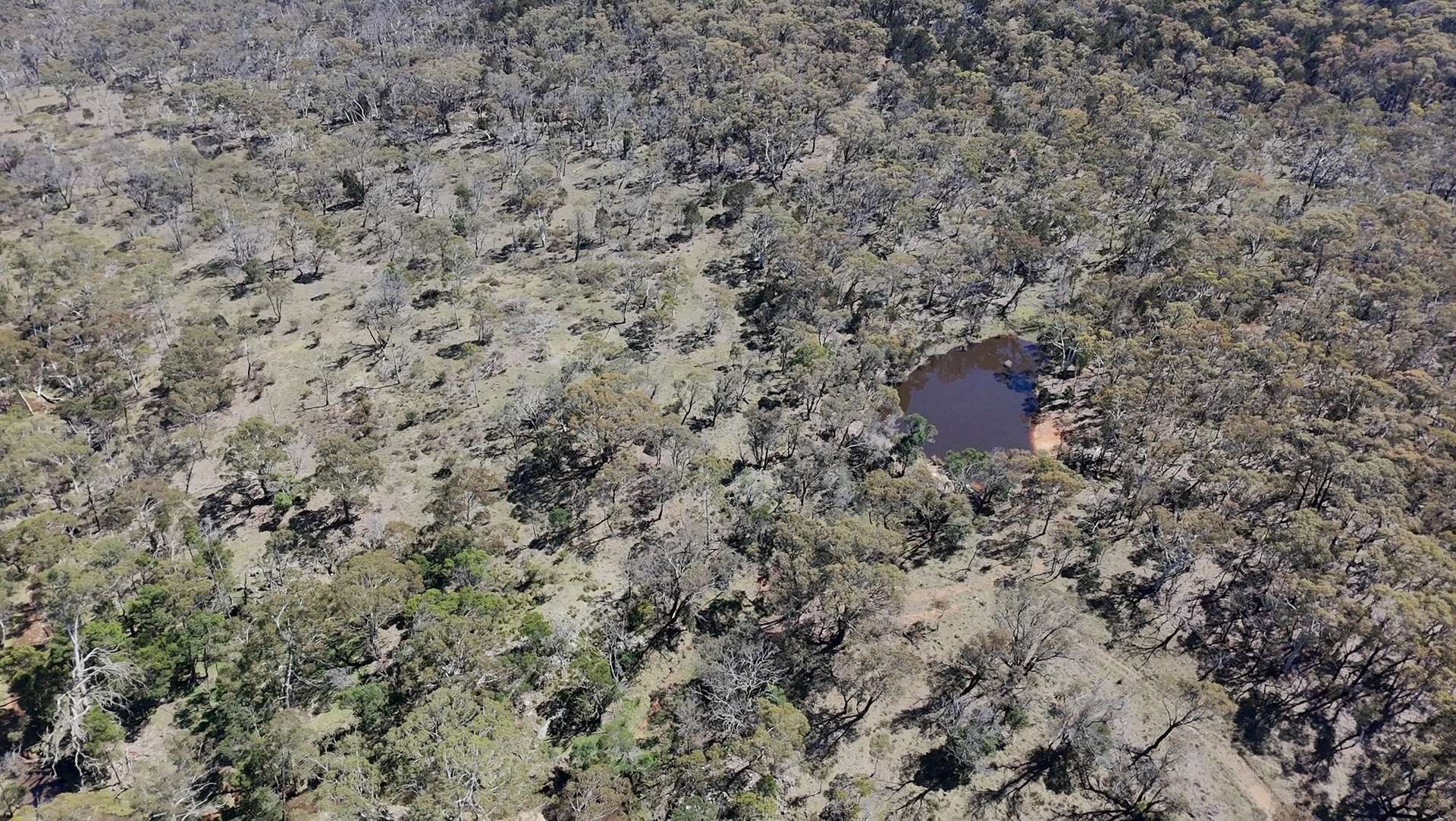 265 Sturgiss Road, Lower Boro Sold by Farmbuy.com - image 8