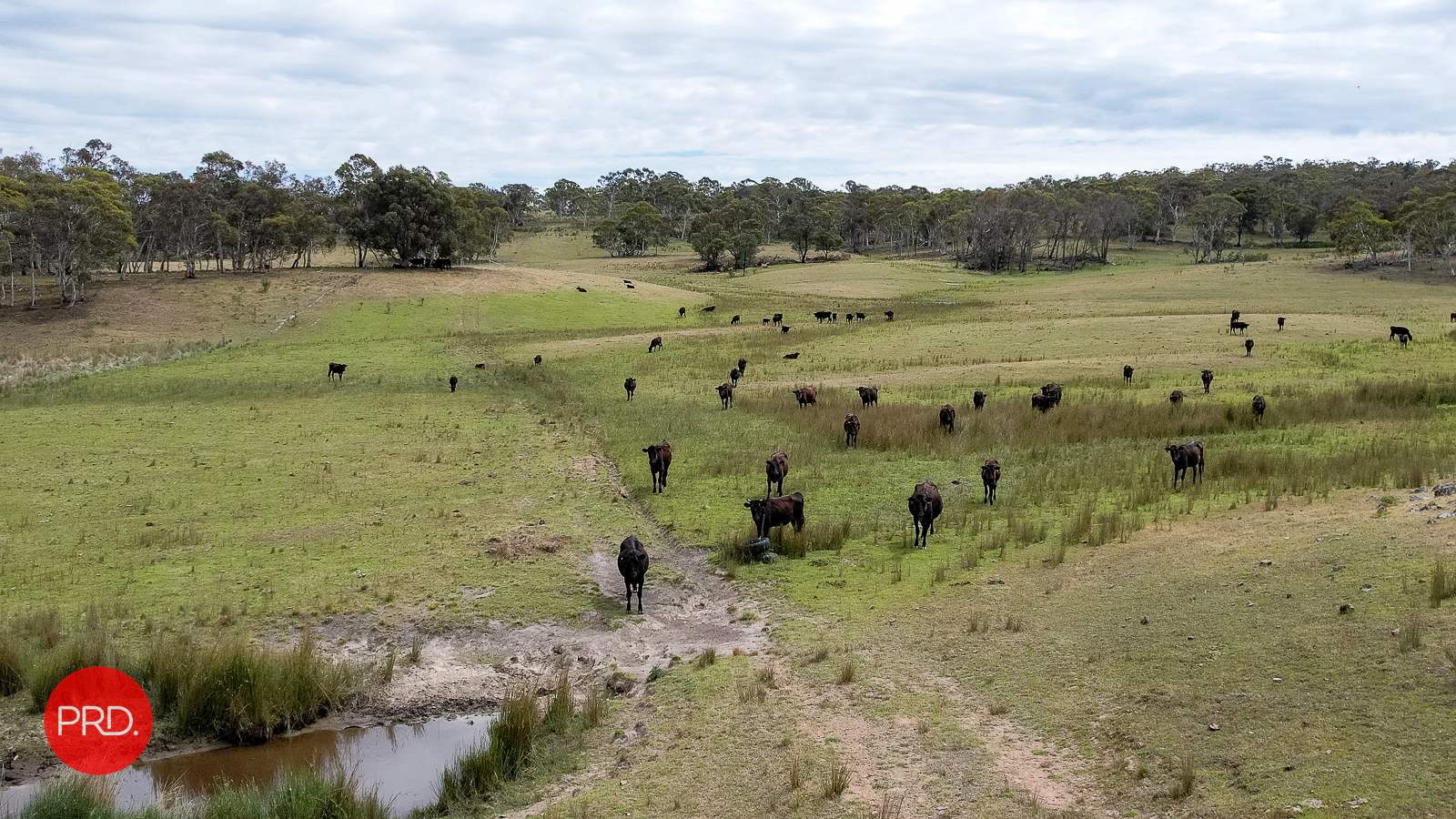 3578 Kings Highway, Bungendore For Sale by Farmbuy.com - image 12