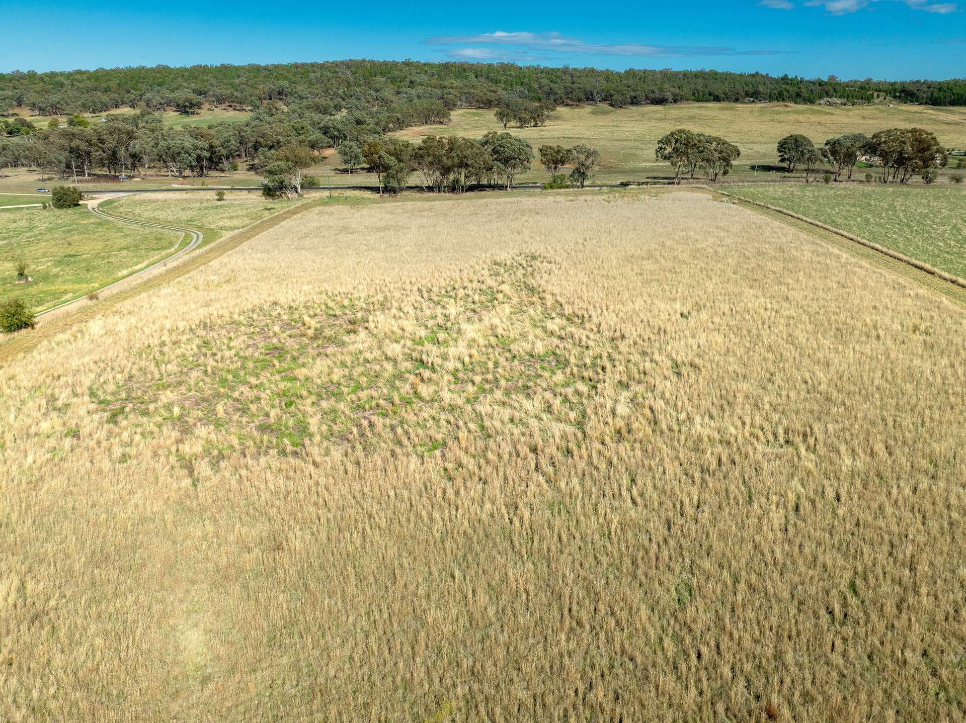 614 Peabody Road, Molong For Sale by Farmbuy.com - image 10