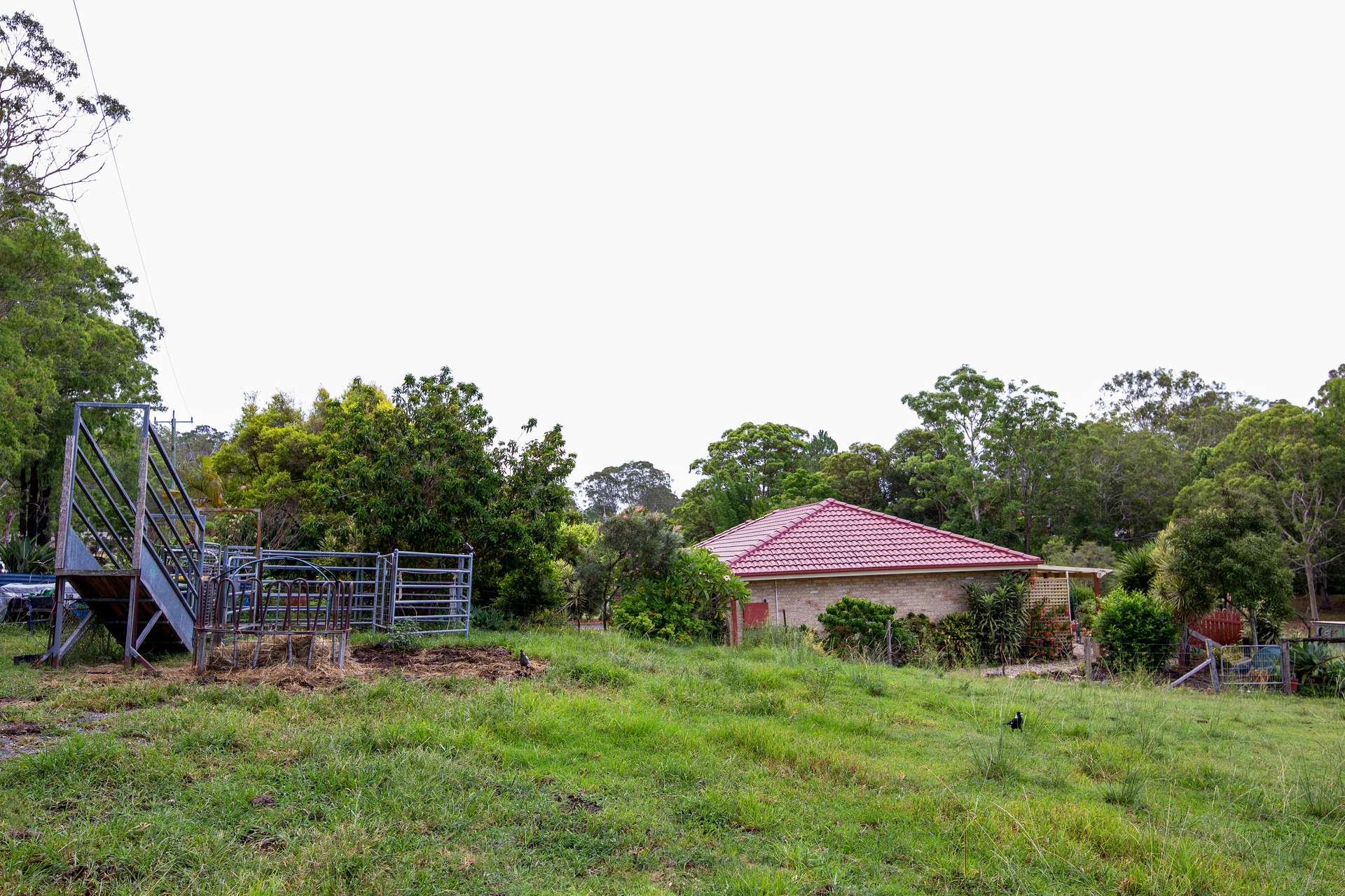 178 Cedar Party Road, Taree For Sale by Farmbuy.com - image 31
