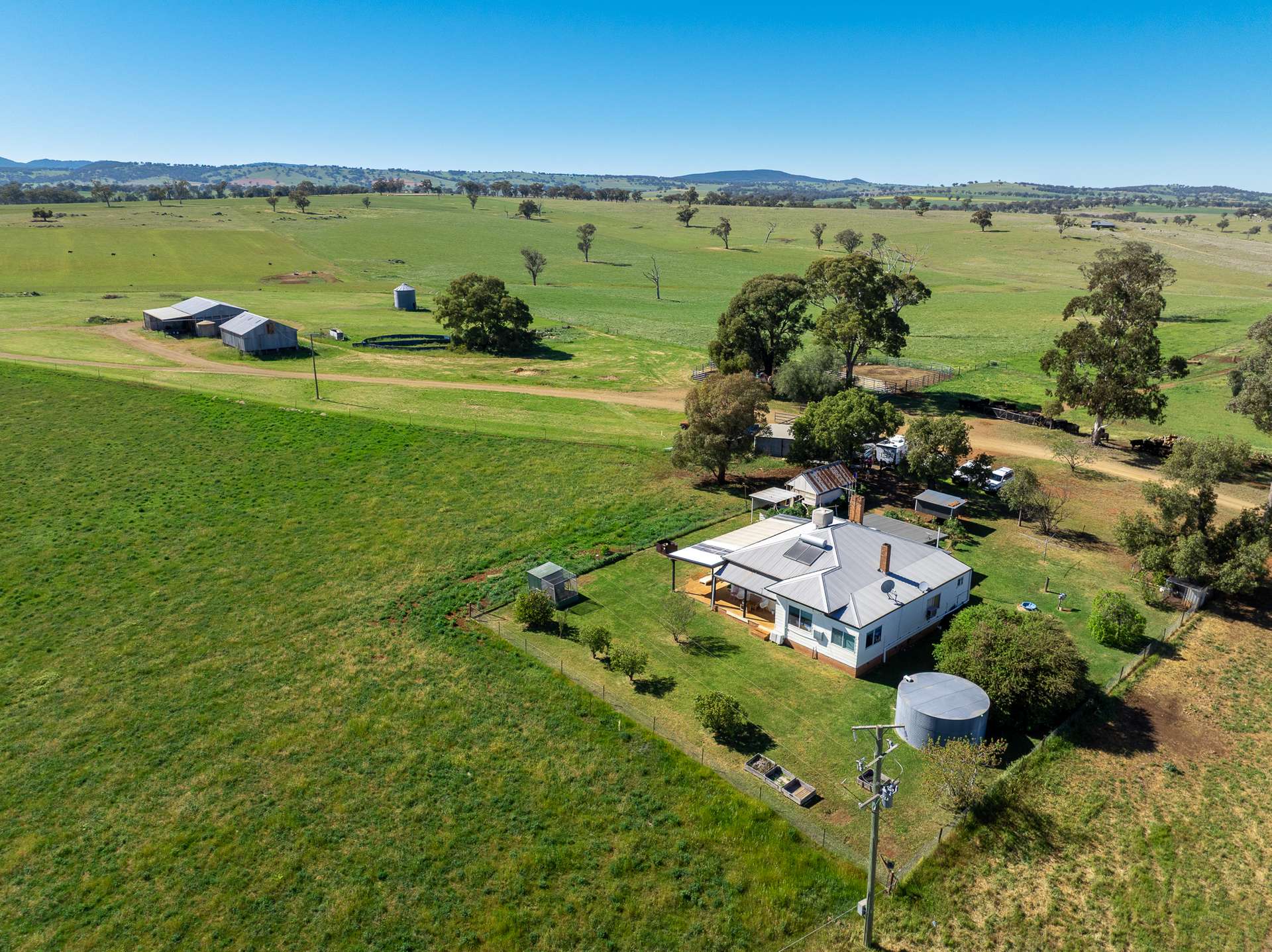 'Wandella Park' 1097 Davys Plains Road Via Cudal,, Orange For Sale by Farmbuy.com - image 12
