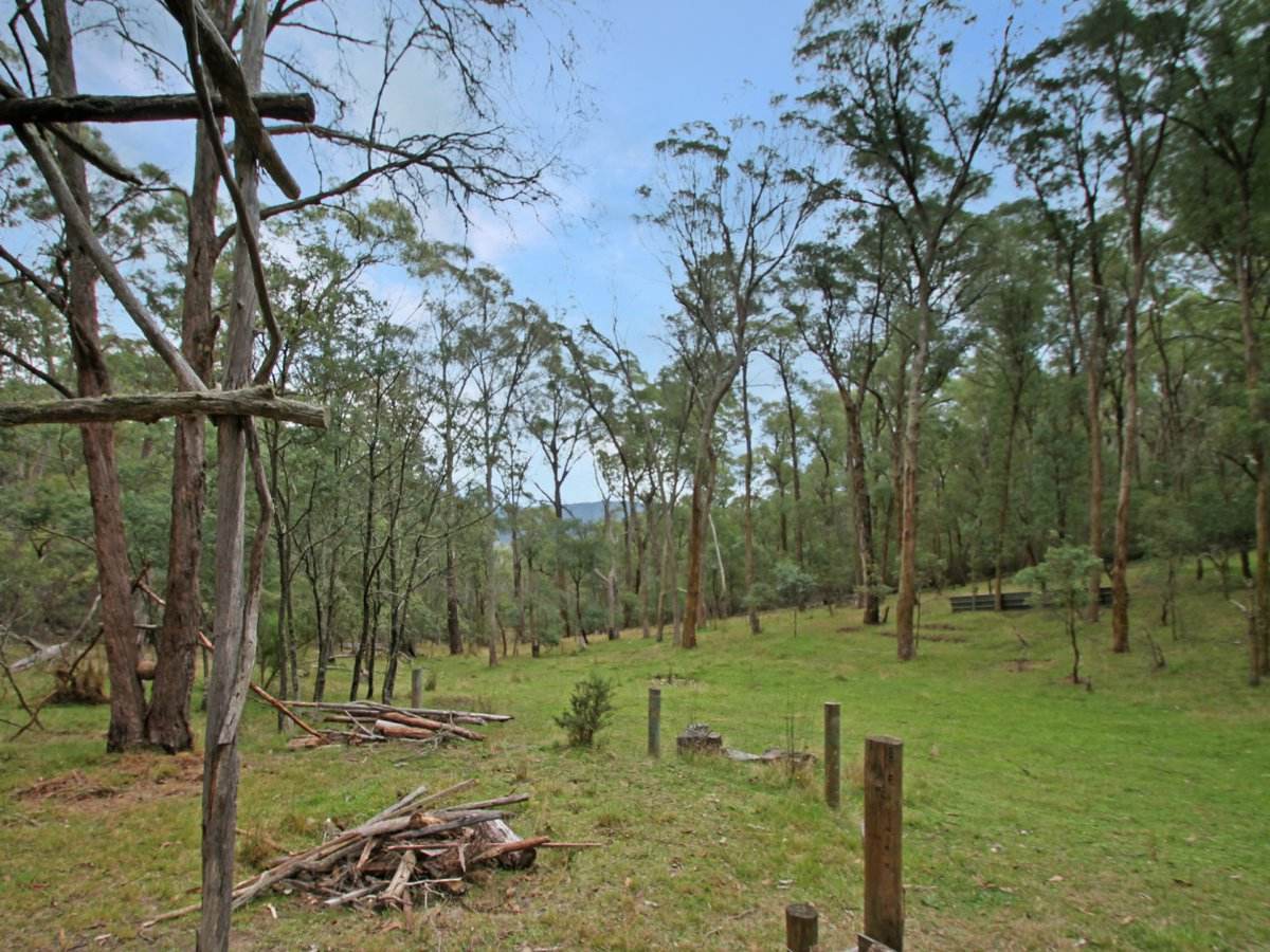 135 Kangaroo Track, Omeo For Sale by Farmbuy.com - image 12