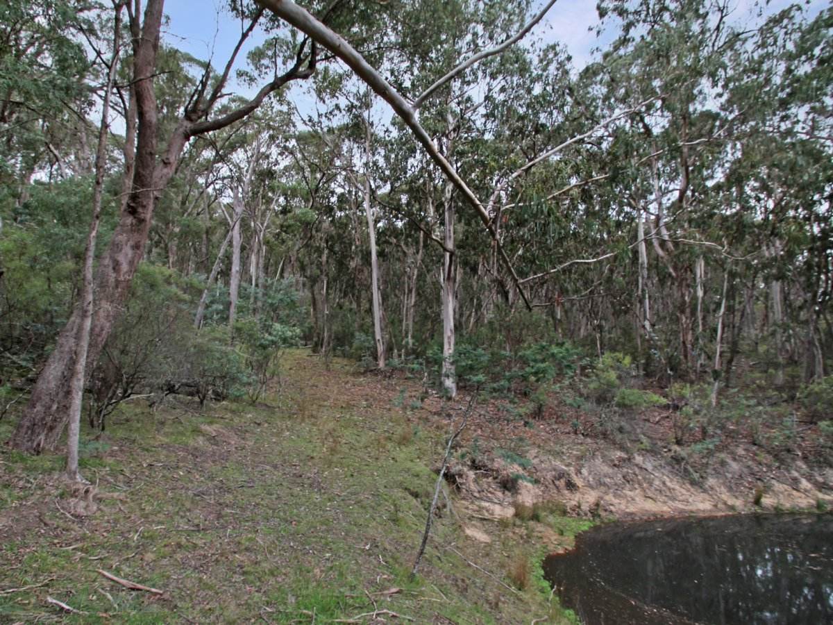 135 Kangaroo Track, Omeo For Sale by Farmbuy.com - image 13