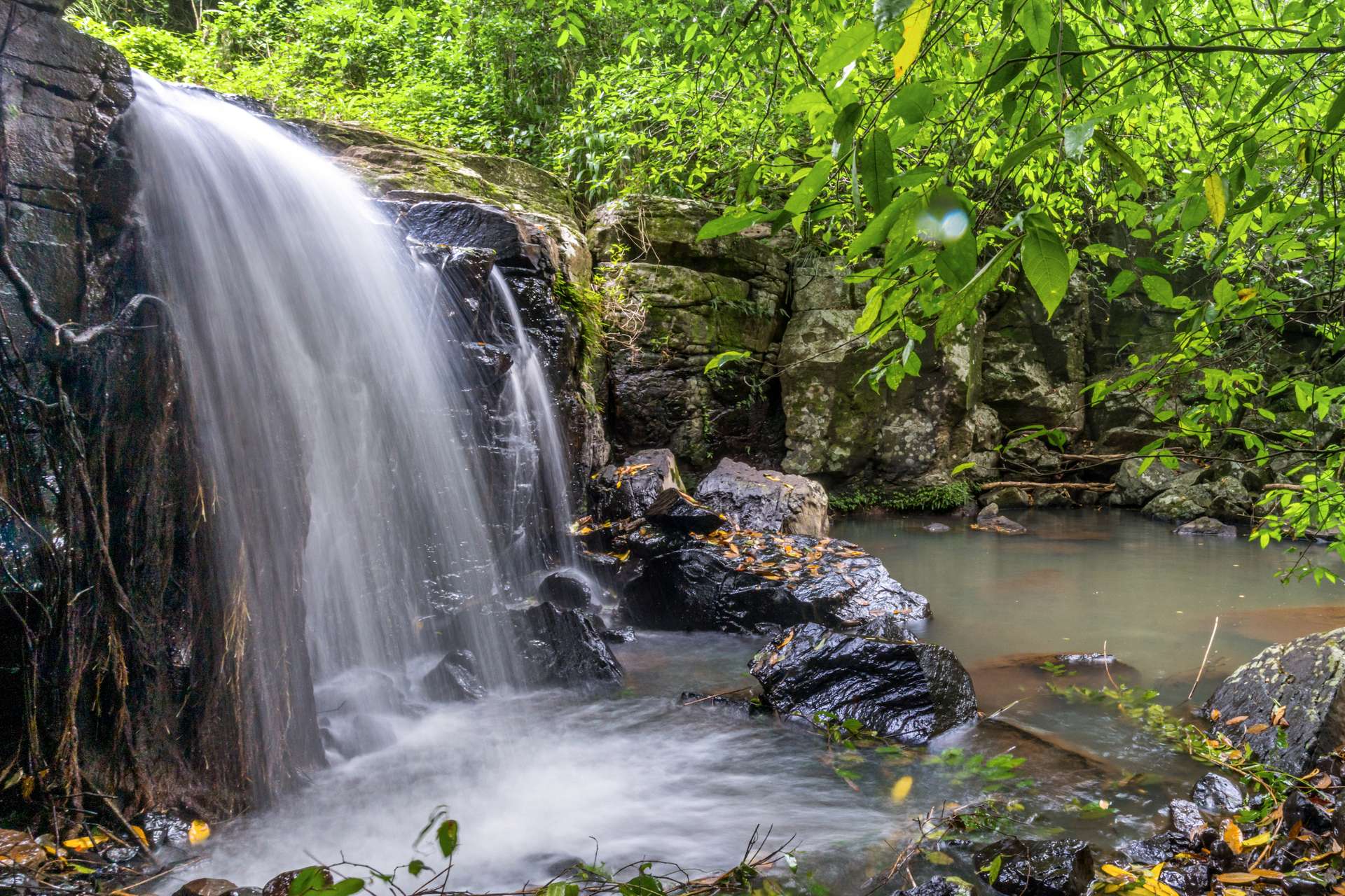 362 Coorabell Road, Coorabell Auction by Farmbuy.com - image 4