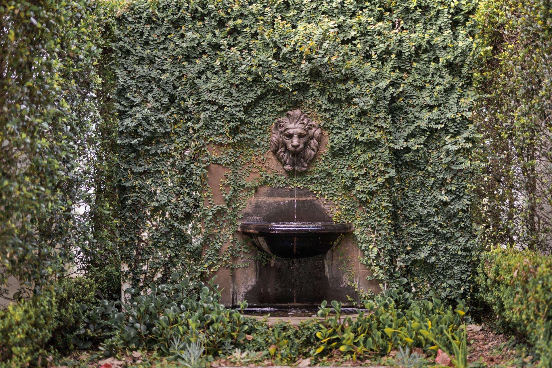 Cooroy Mountain For Sale by Farmbuy.com - image 3