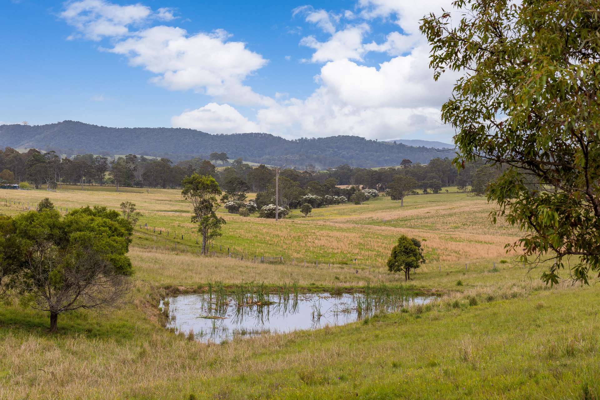 87 Norries Road, Bunyah For Sale by Farmbuy.com - image 3