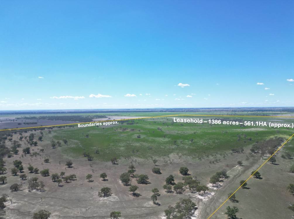 Lot LOT 1 LP135805, 1 Cocketgedong Road, Urana For Sale by Farmbuy.com - image 5