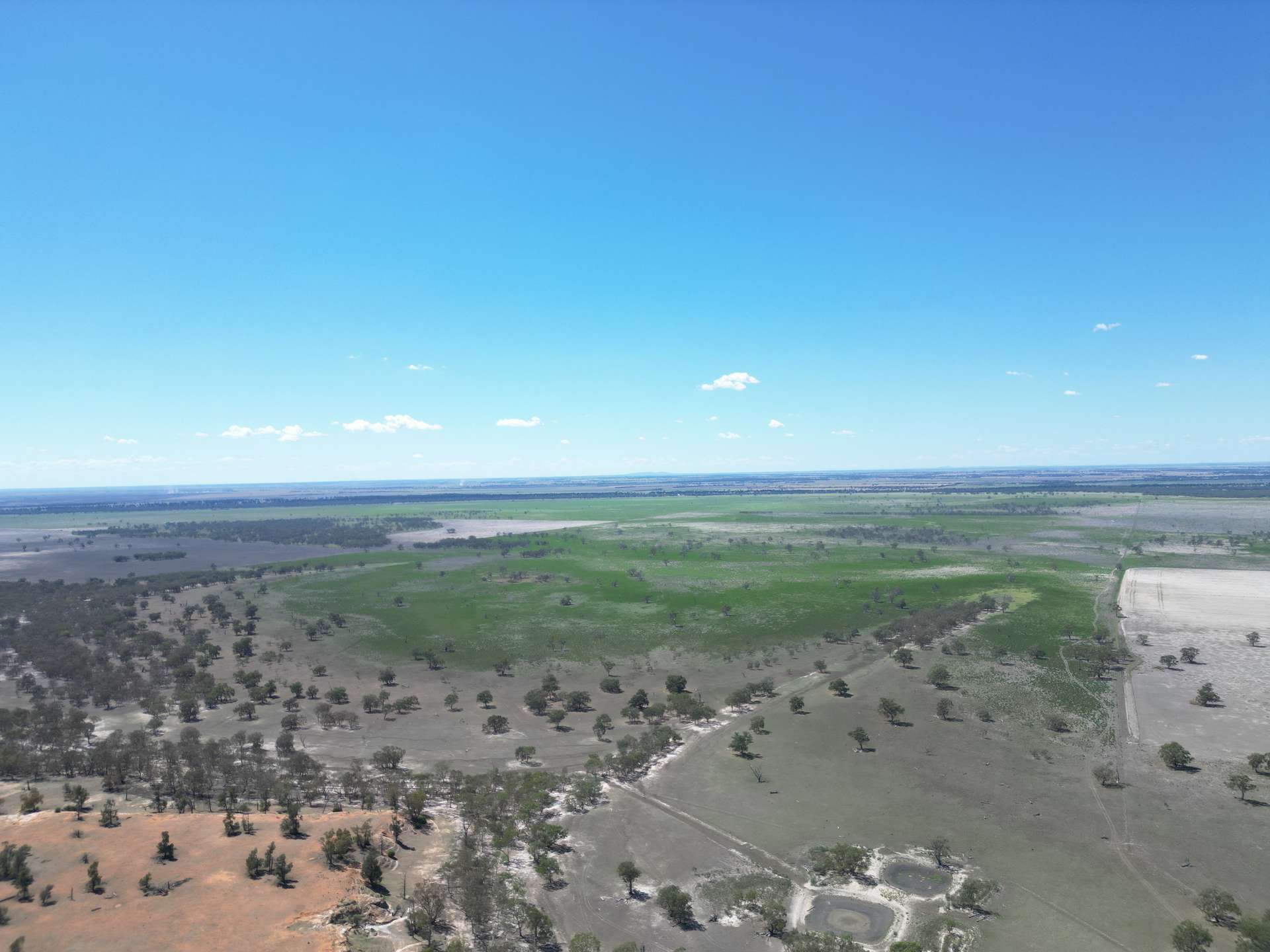 Lot LOT 1 LP135805, 1 Cocketgedong Road, Urana For Sale by Farmbuy.com - image 3