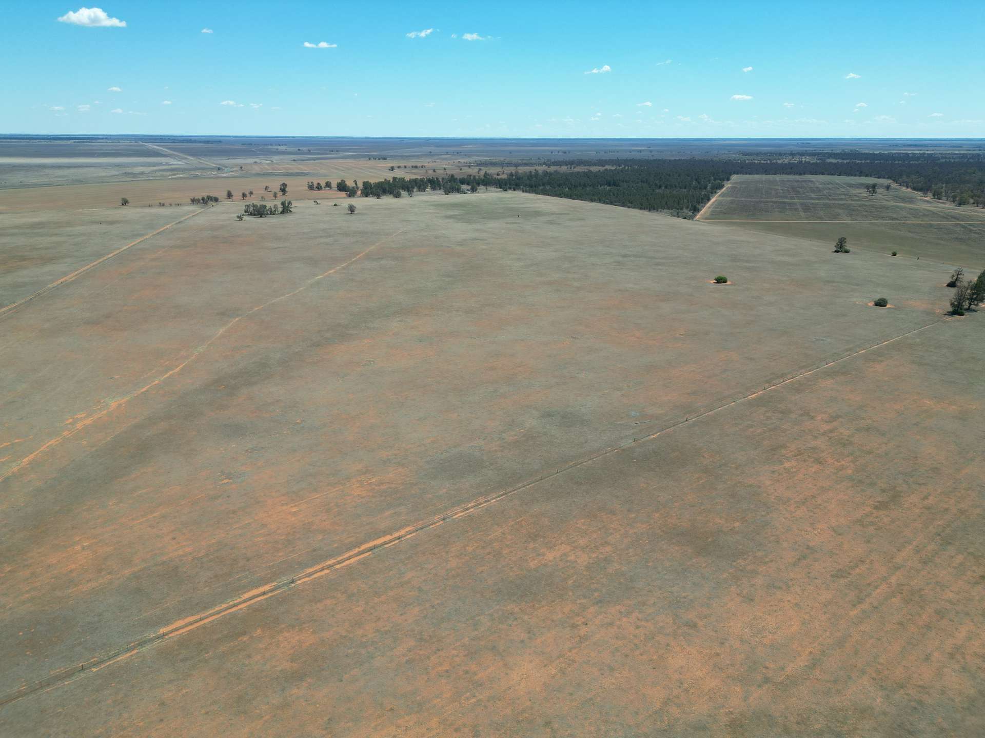 Lot LOT 1 LP135805, 1 Cocketgedong Road, Urana For Sale by Farmbuy.com - image 18