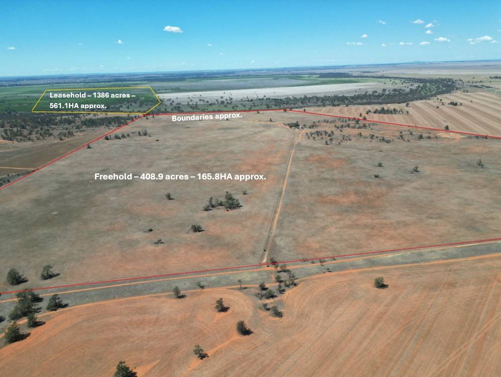 Lot LOT 1 LP135805, 1 Cocketgedong Road, Urana For Sale by Farmbuy.com - image 2