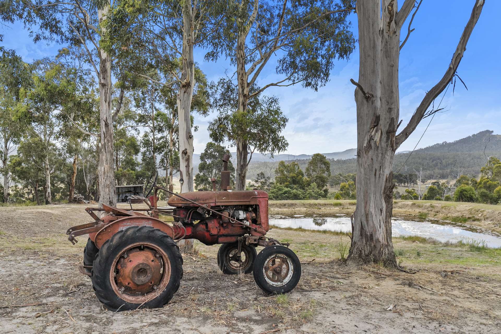 94 Blue Hills Road, Copping For Sale by Farmbuy.com - image 31