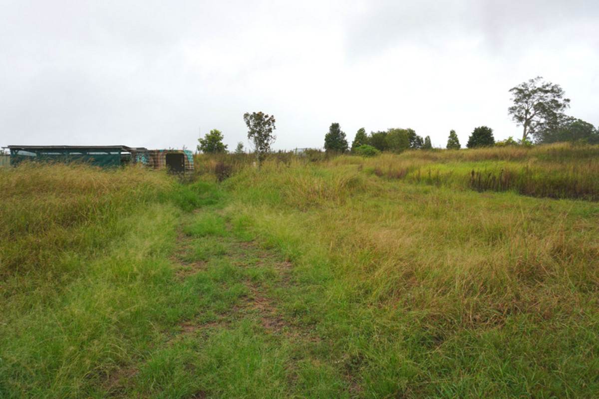 37 Dyraaba Street, Bonalbo For Sale by Farmbuy.com - image 6