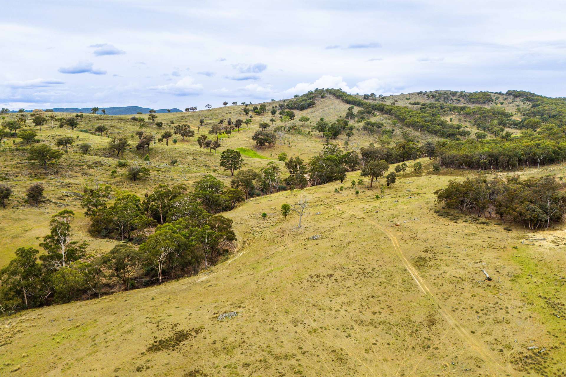 678 Dry Creek Road, Lewis Ponds For Sale by Farmbuy.com - image 14