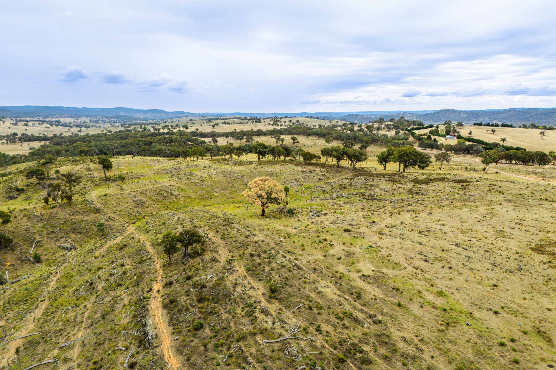 678 Dry Creek Road, Lewis Ponds For Sale by Farmbuy.com - image 3