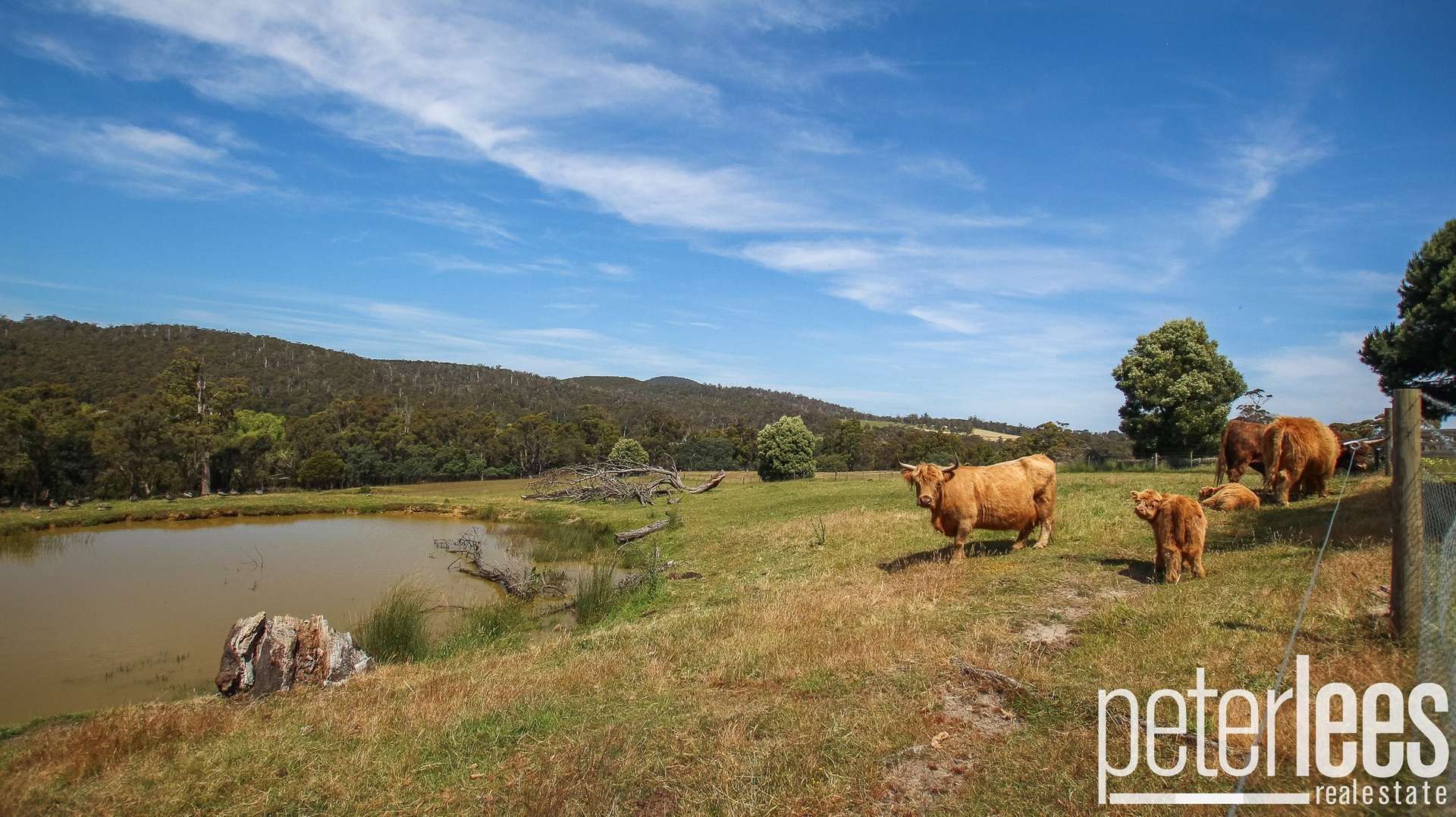 73 Johnstons Road, Hillwood For Sale by Farmbuy.com - image 23