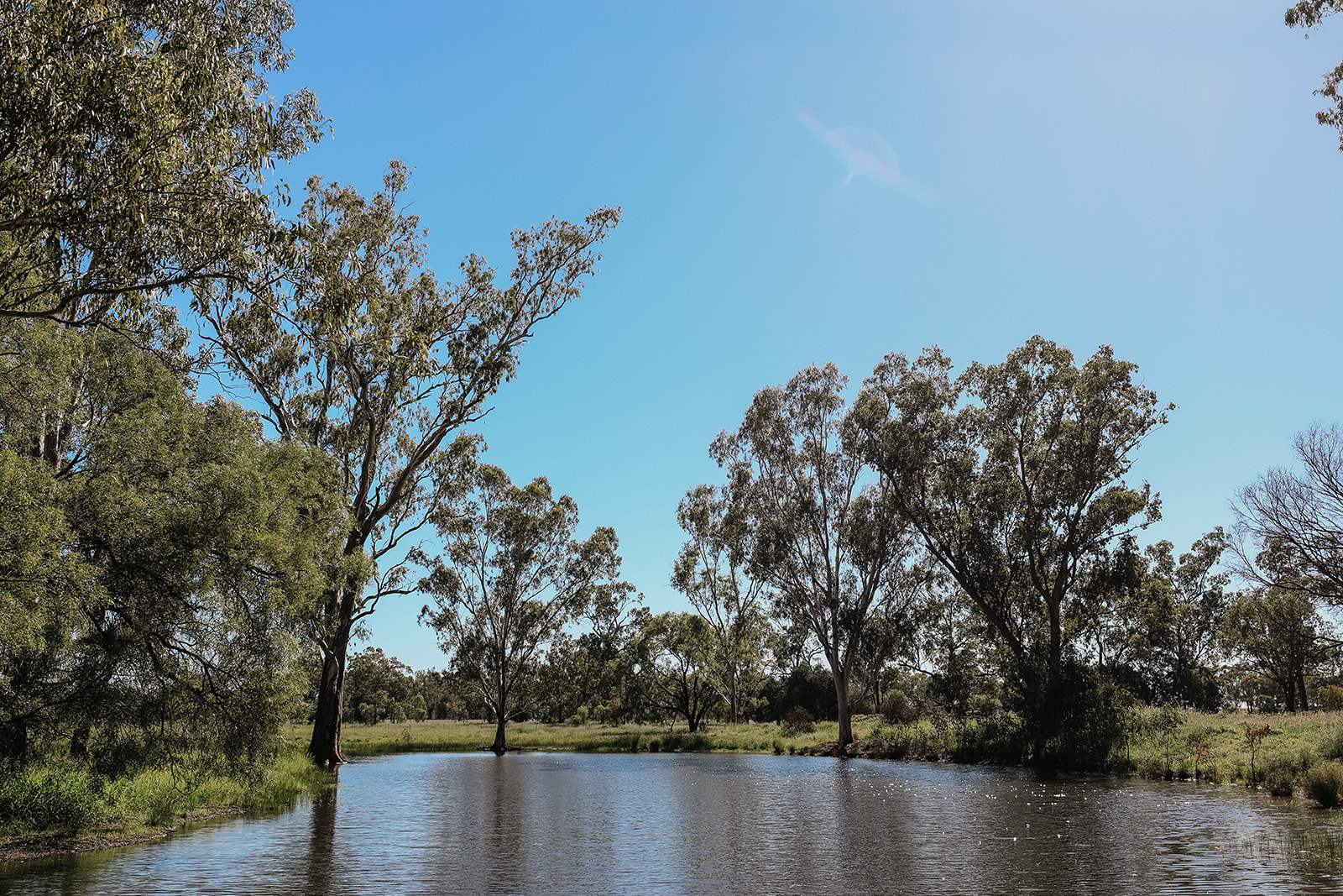 888 Dargal Road, Roma For Sale by Farmbuy.com - image 20