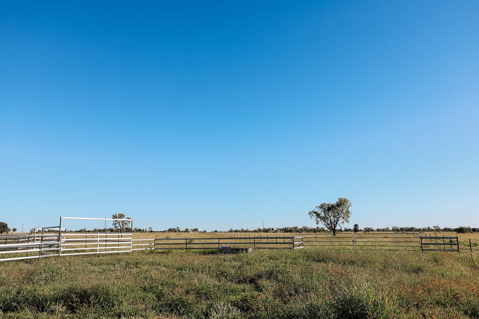 888 Dargal Road, Roma For Sale by Farmbuy.com - image 21