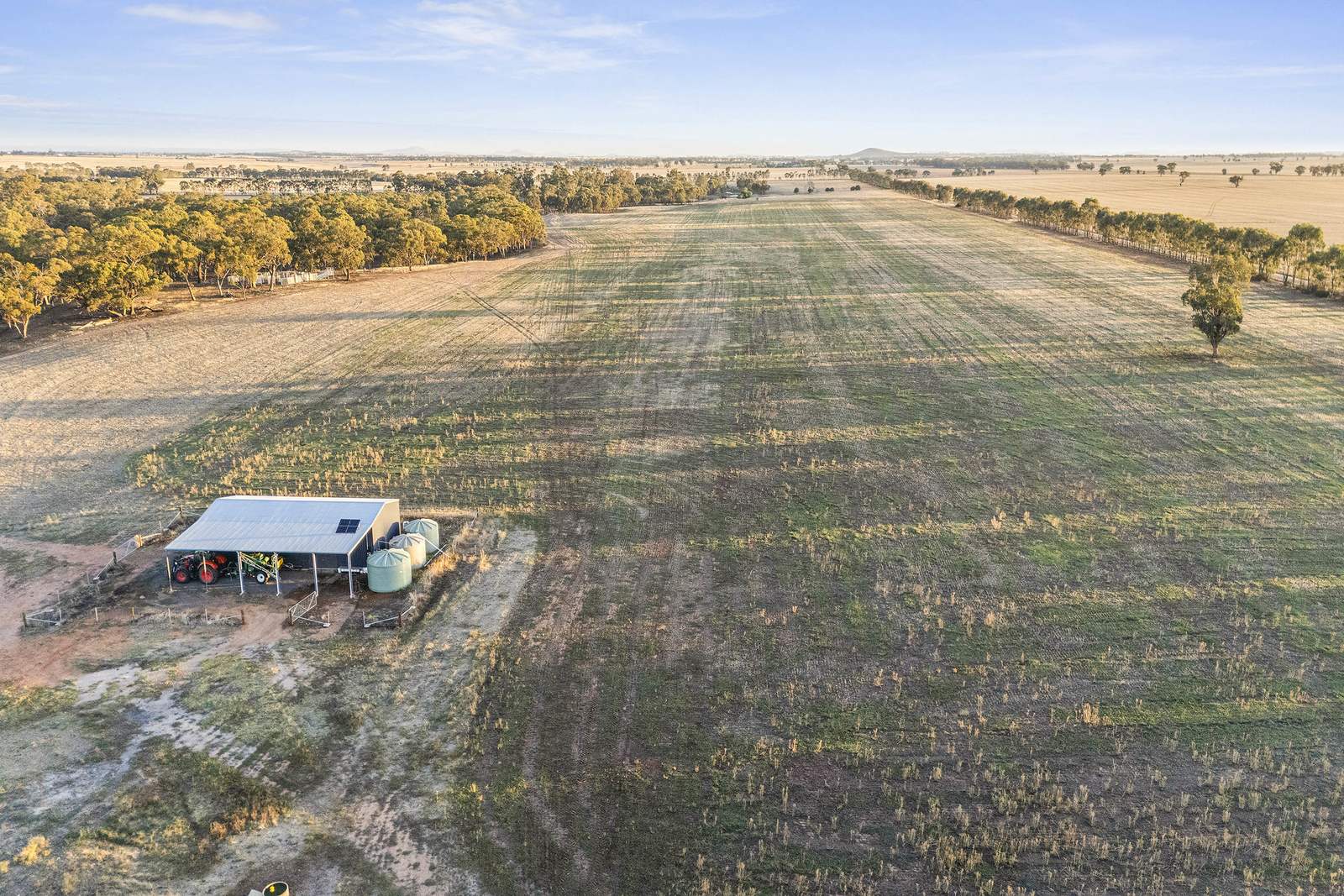 644 Baringhup West Road, Baringhup West For Sale by Farmbuy.com - image 17