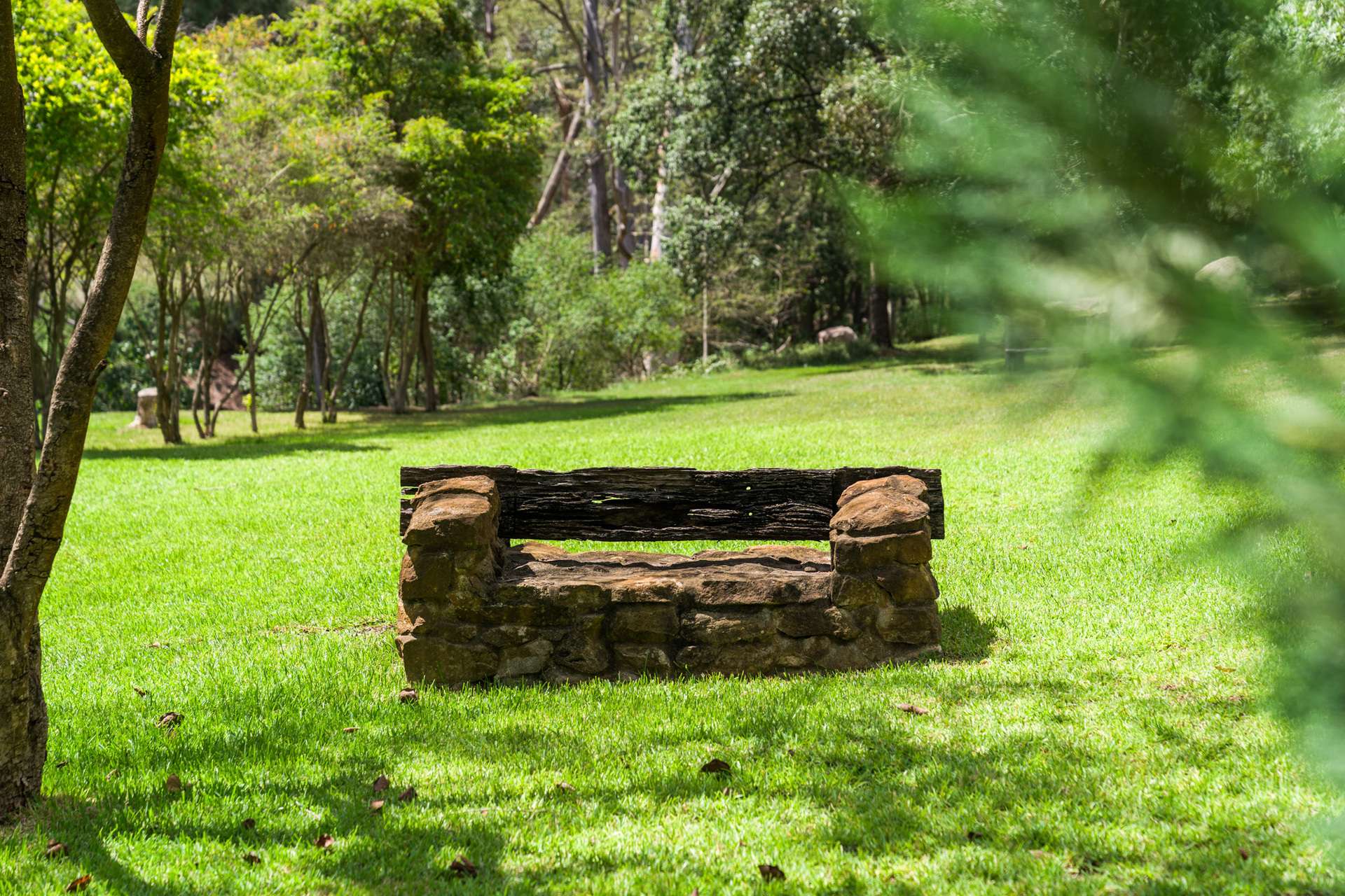 3134 Putty Road, Milbrodale For Sale by Farmbuy.com - image 26